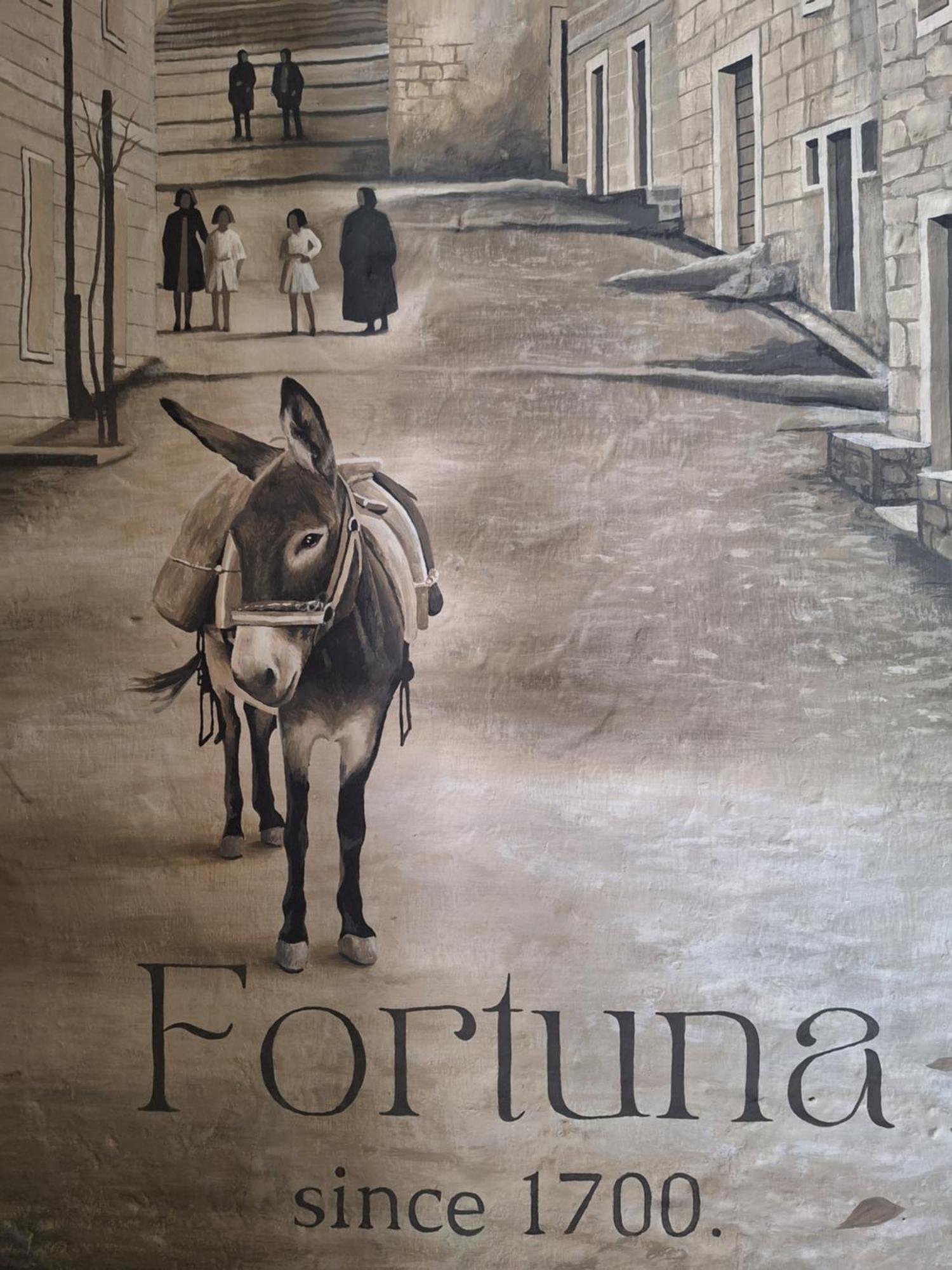 Fortuna Nerezisca Экстерьер фото